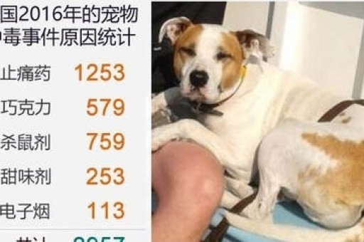 悦刻五代怎么拆悦刻五代怎么拆开