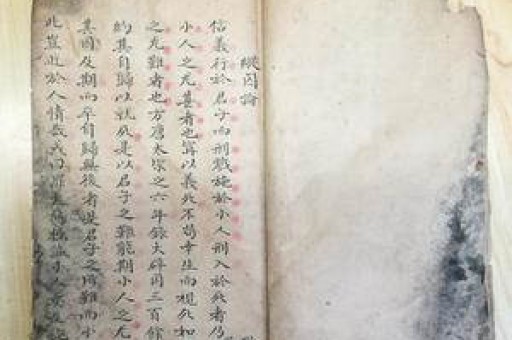 魔笛官方旗舰店魔笛官方旗舰店专卖店